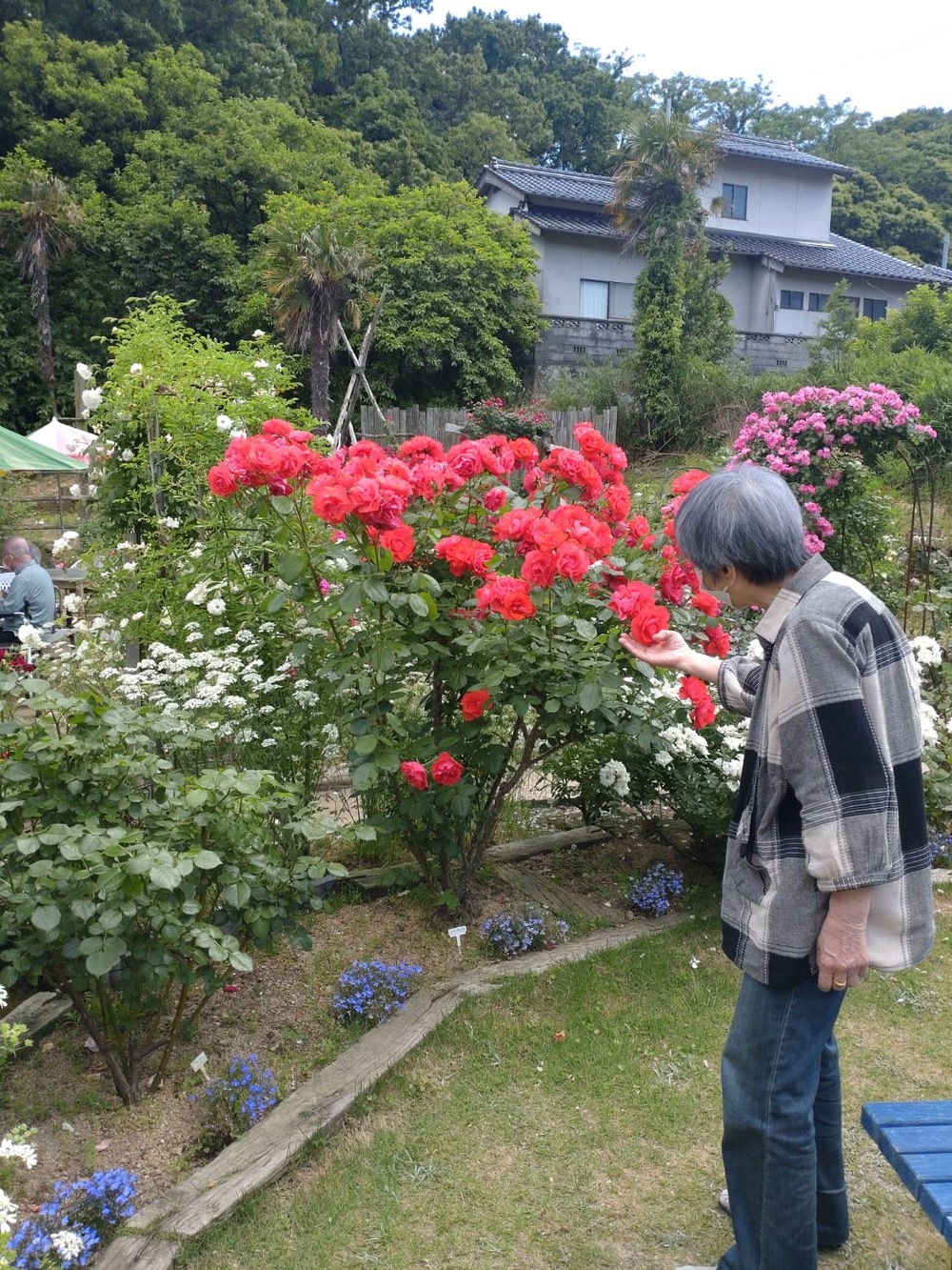 屋外