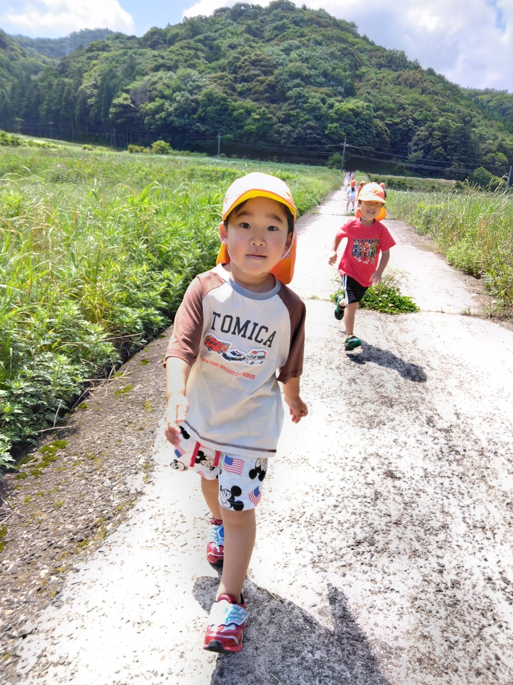城山 (7)