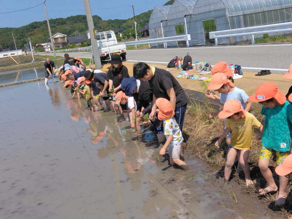 田植えの様子7