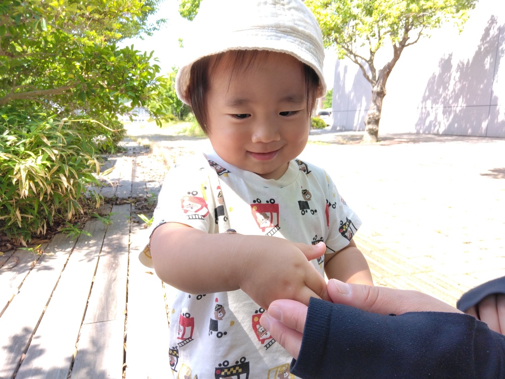 散歩の様子 (4)