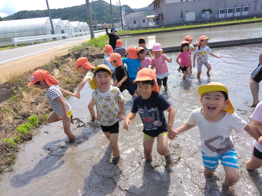 ぼかし