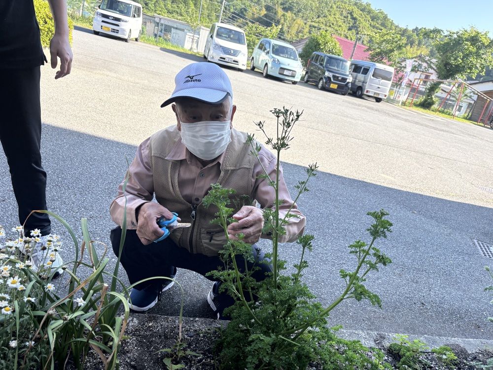 園芸