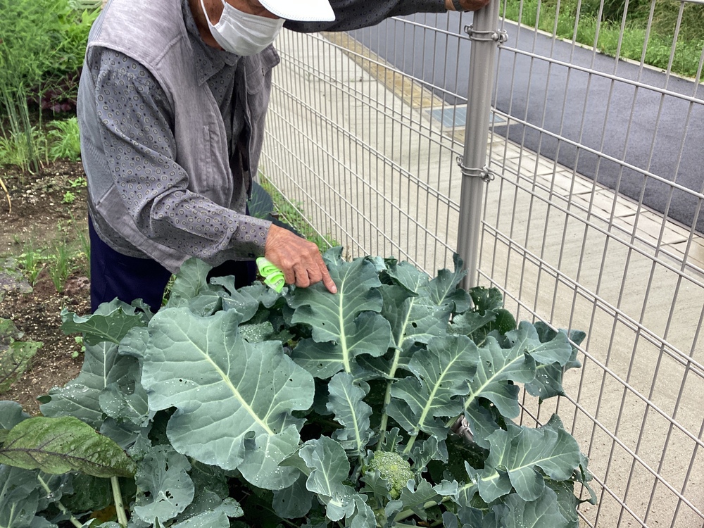 ふくふく広報