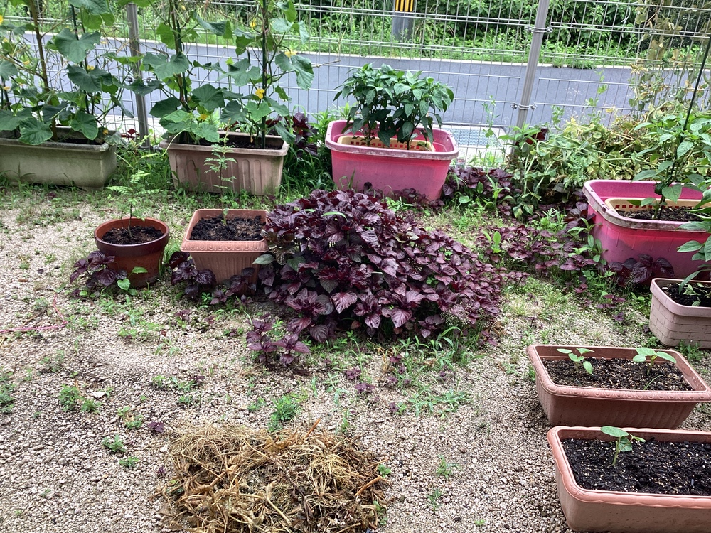 ふくふく広報