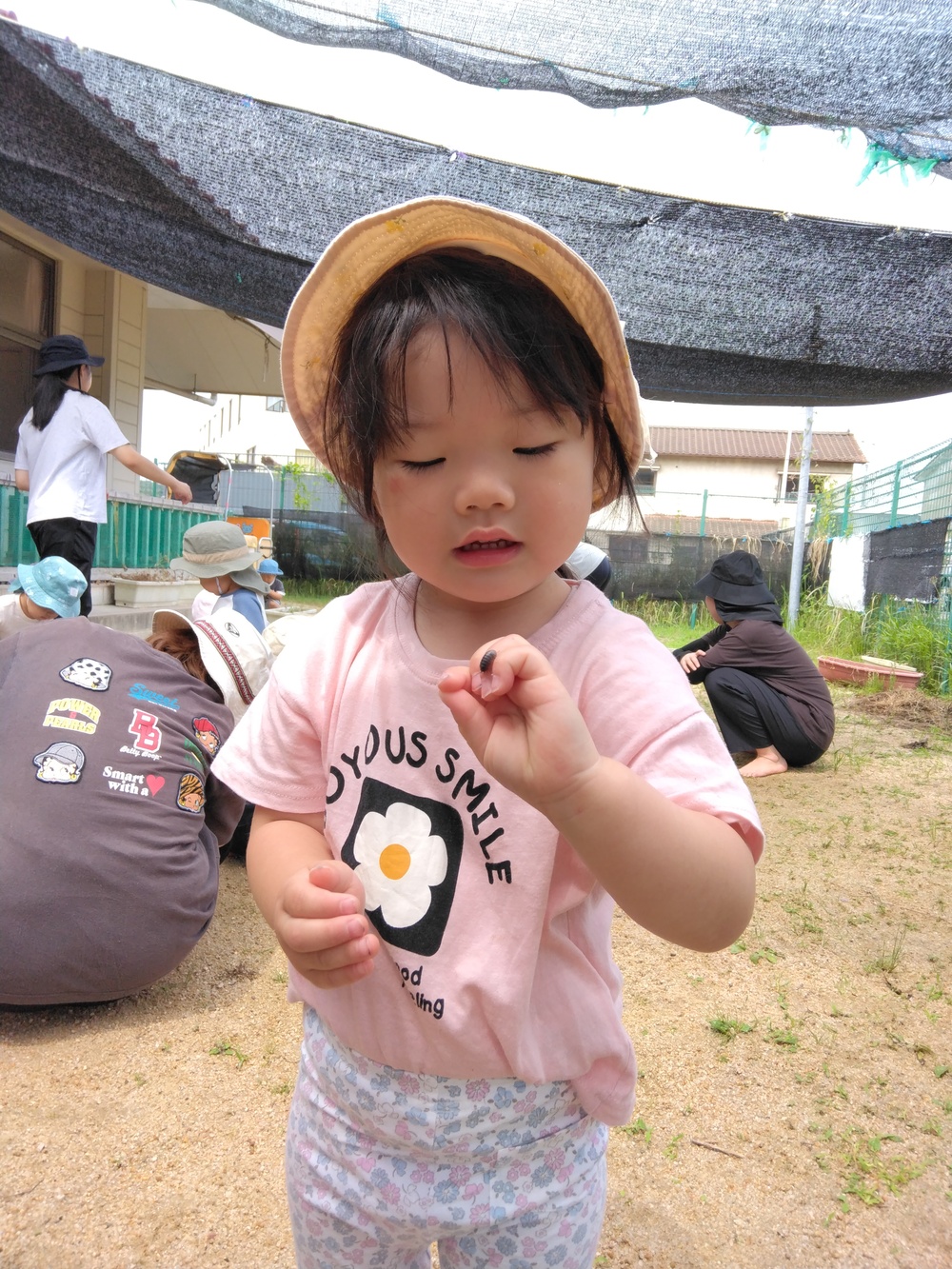 虫探し