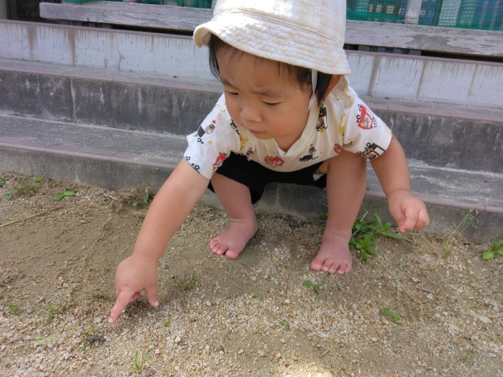 園庭で遊ぶ子ども (2)