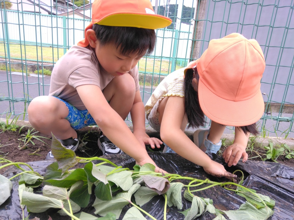 苗を植えている様子４
