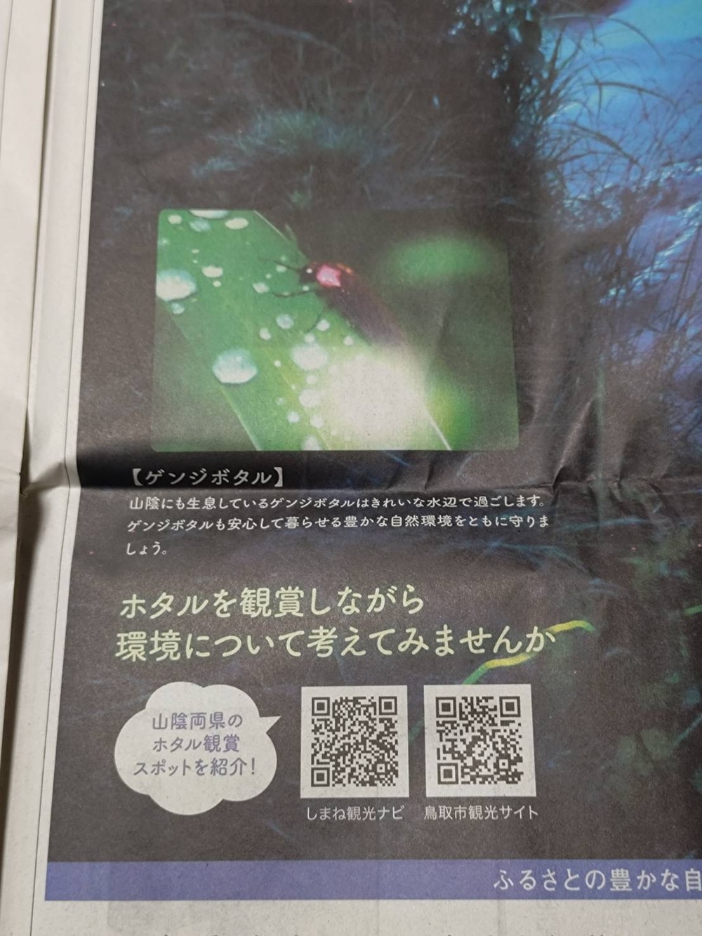 新聞　環境の日2