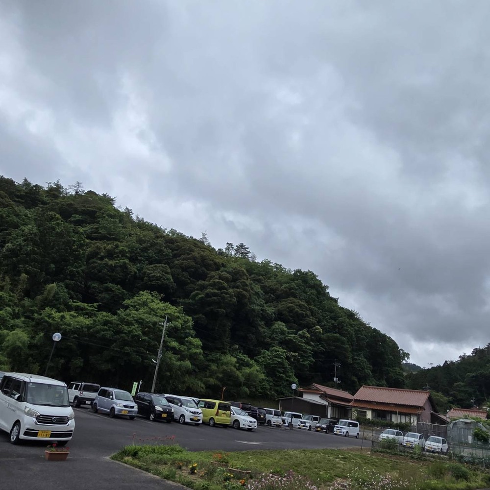 カエル