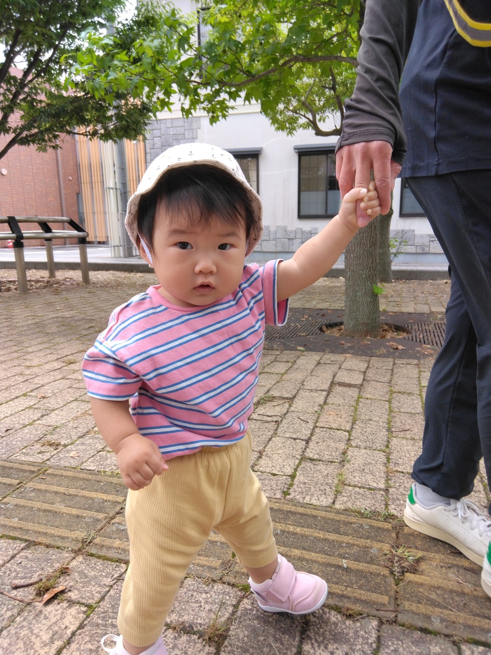 散歩の様子
