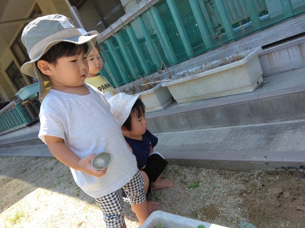 園庭遊びの様子 (3)