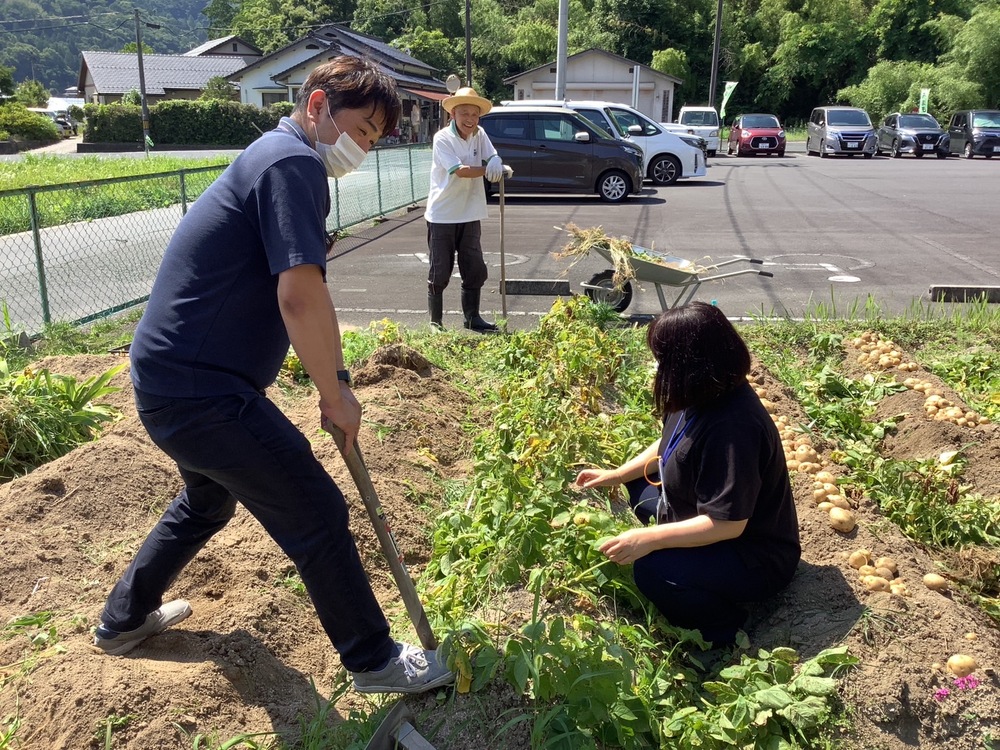 芋掘り