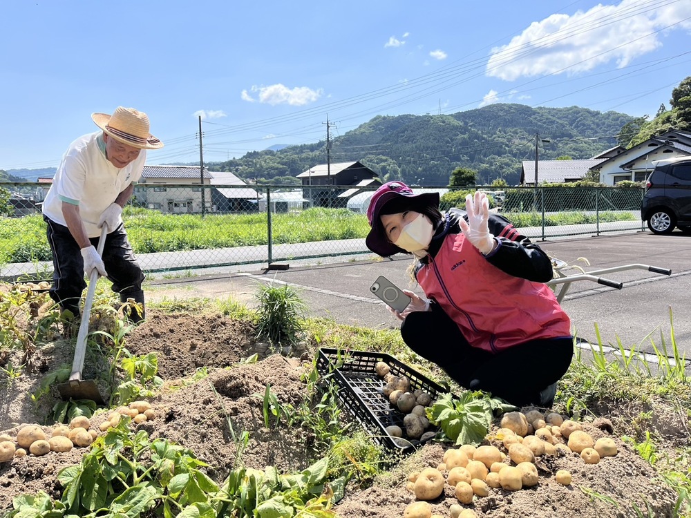 芋掘り
