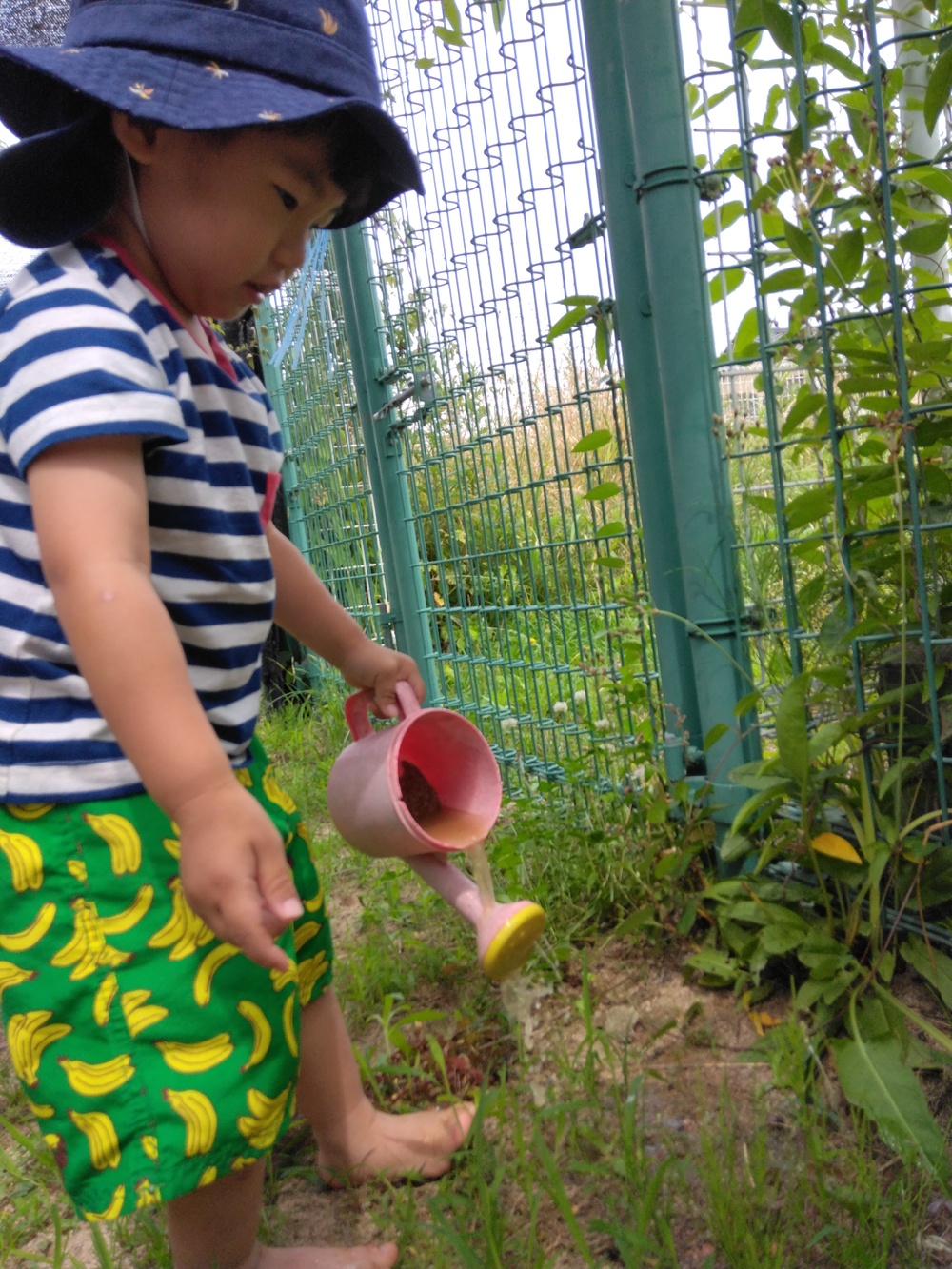 水やりしている