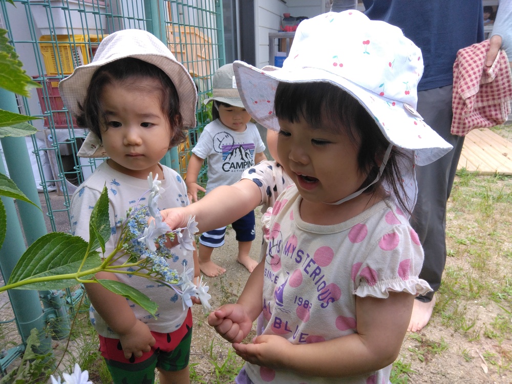 園庭で遊ぶ子ども (2)