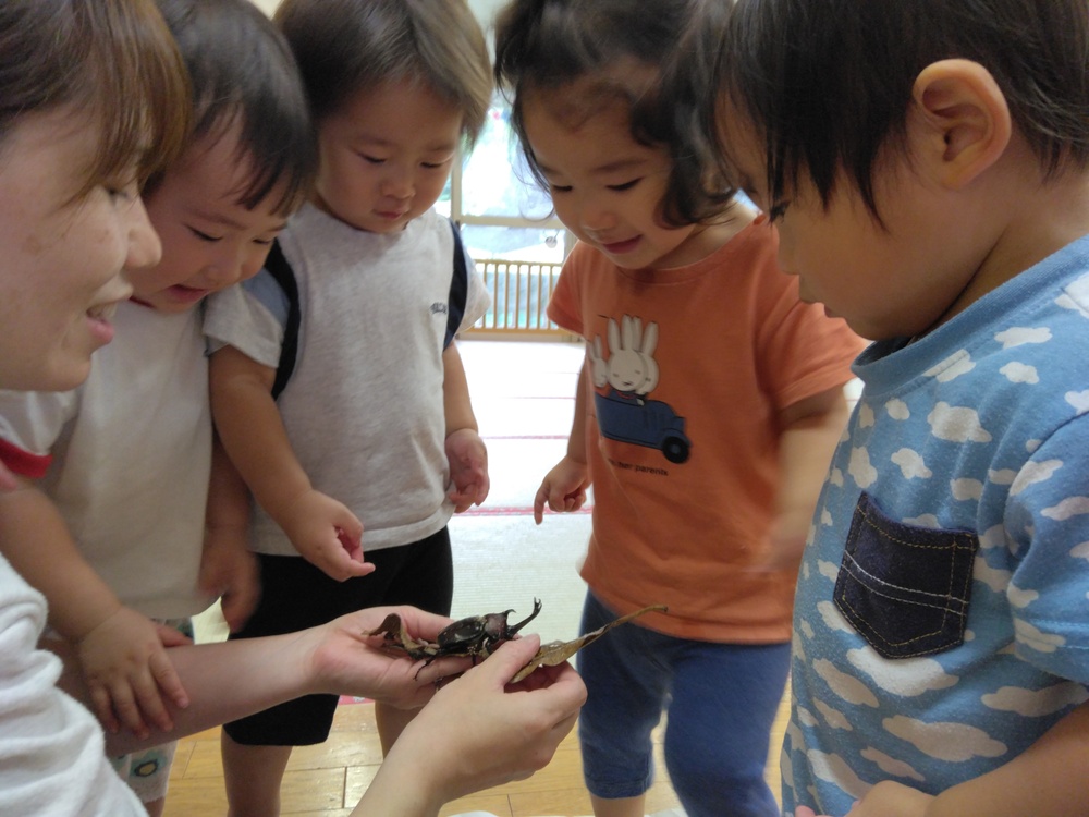 カブトムシを見る子ども