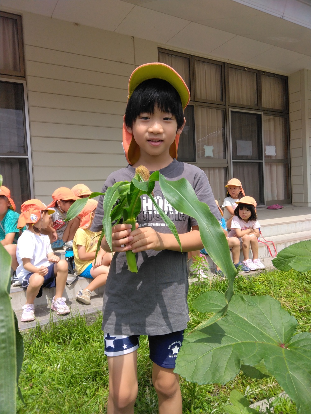 夏野菜の収穫の様子２