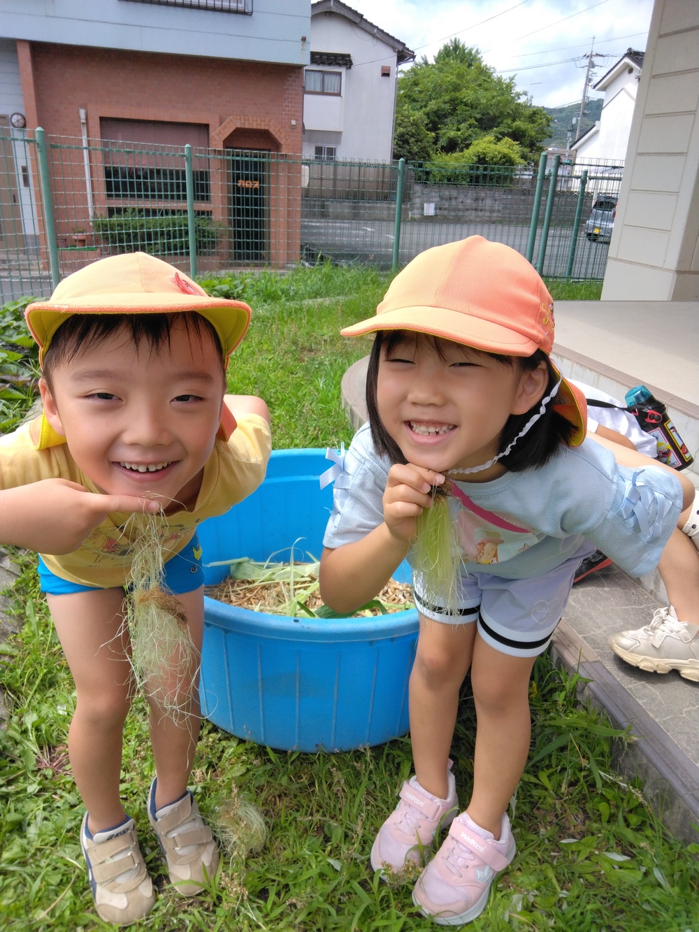 夏野菜の収穫の様子８
