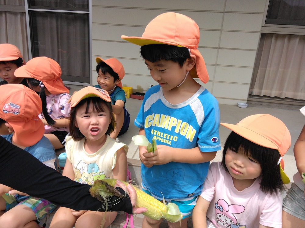 夏野菜の収穫の様子１０