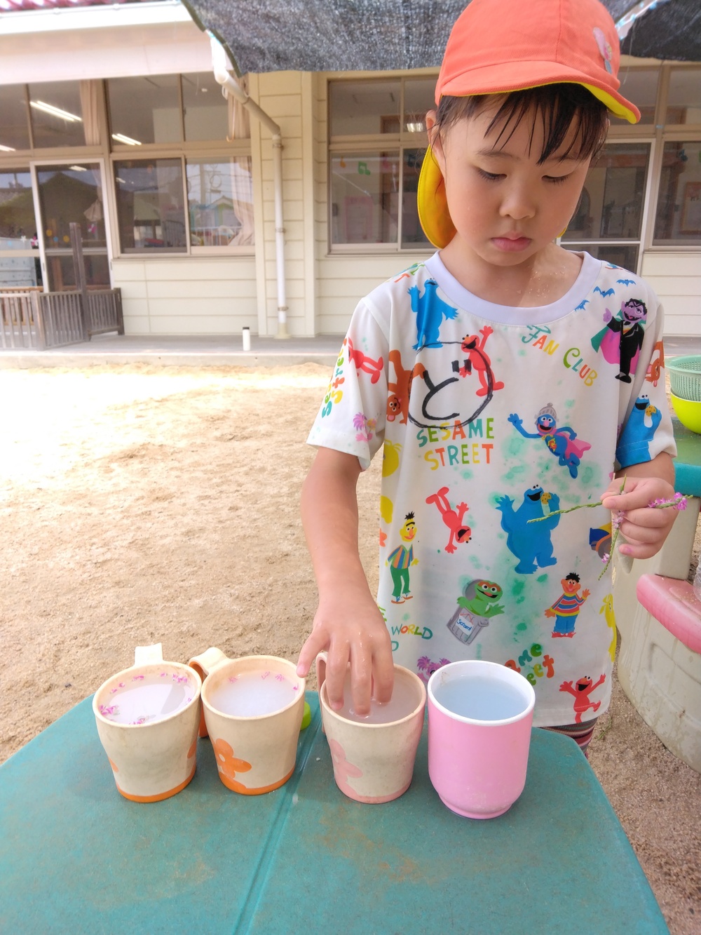 色水 (5)