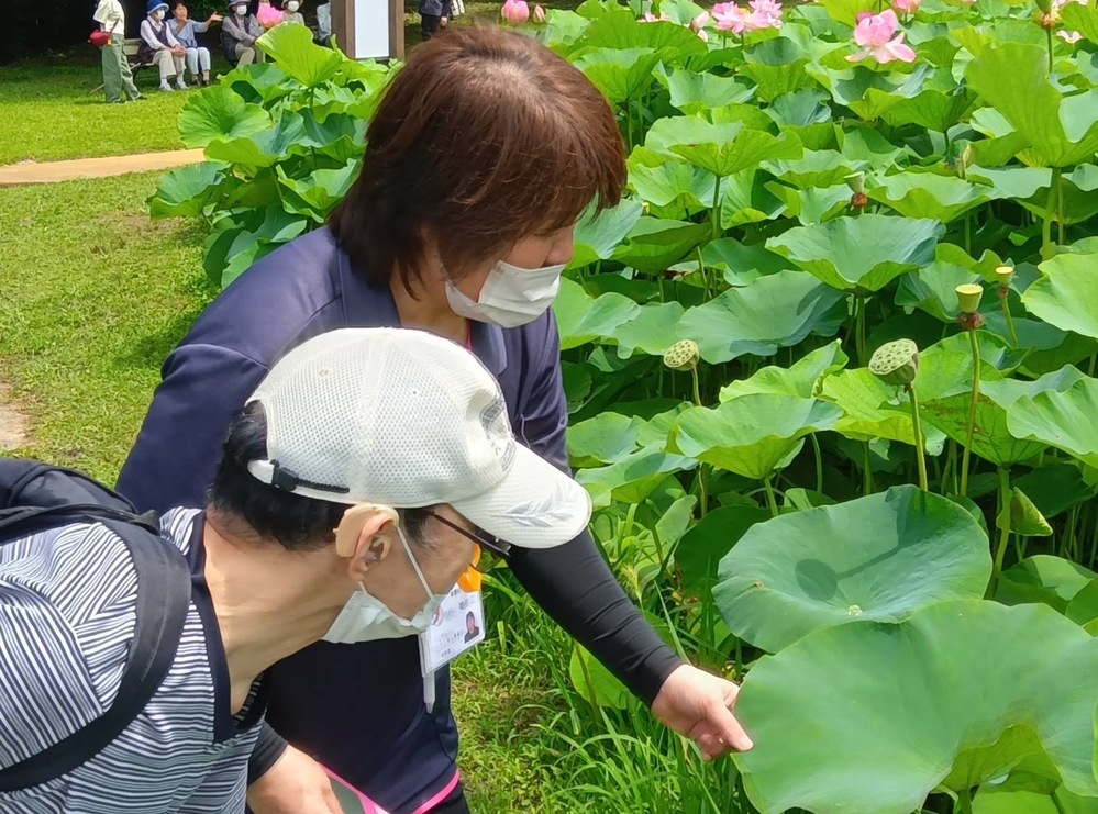 ふくふく広報
