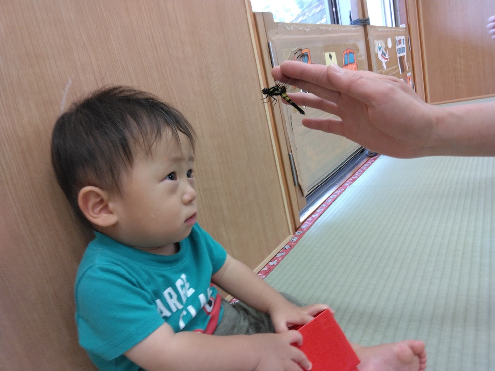 トンボを見る子ども３