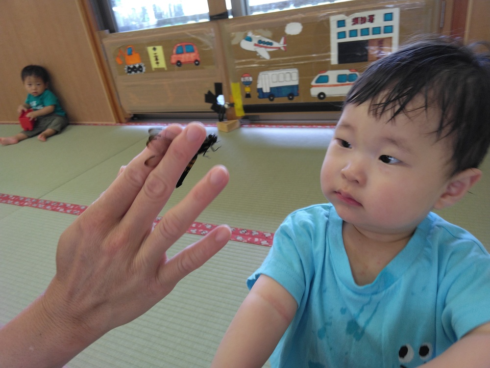 トンボを見る子ども２