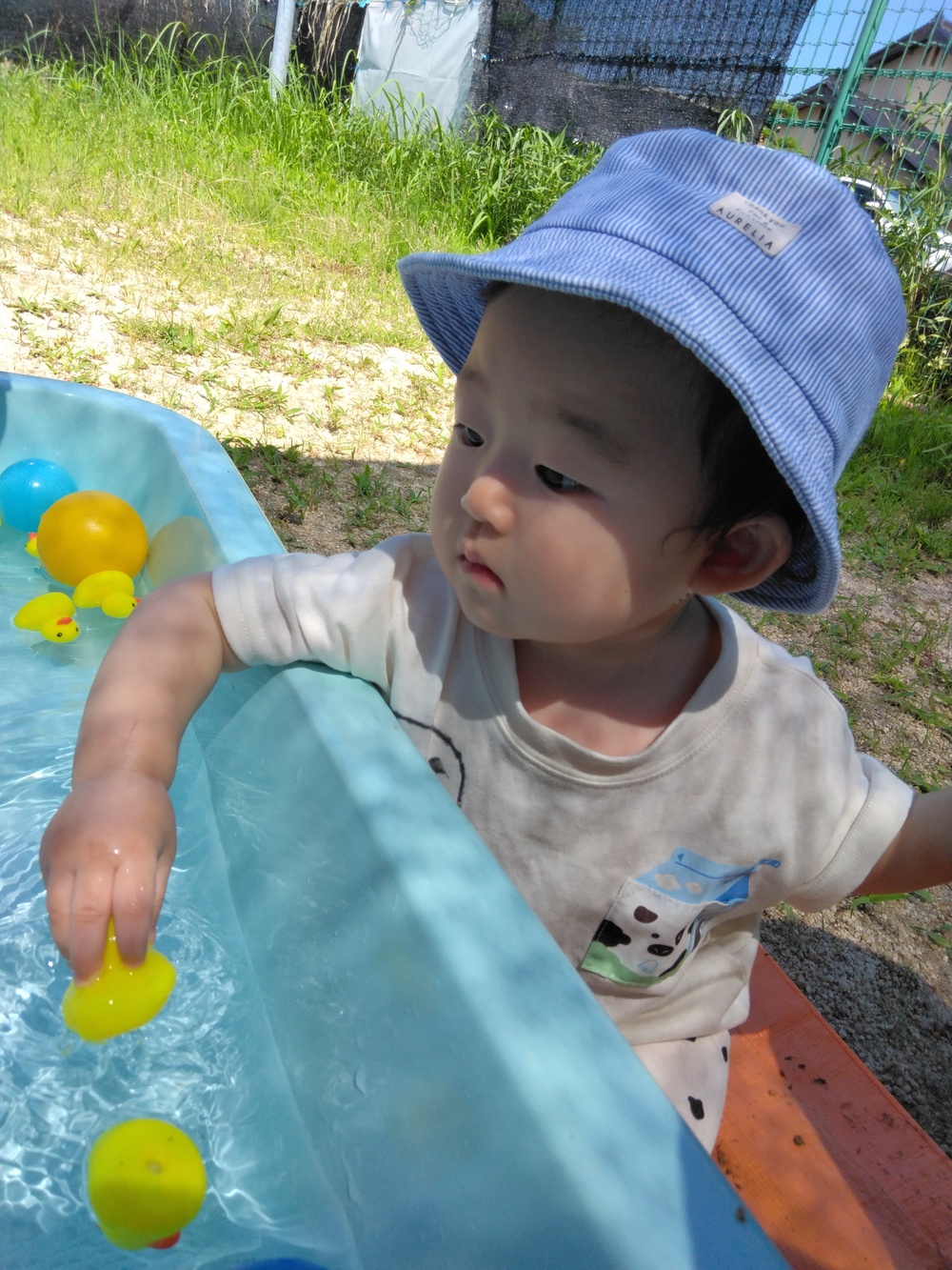 プールで遊ぶ子ども (3)