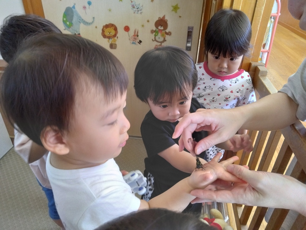 トンボを触る子ども