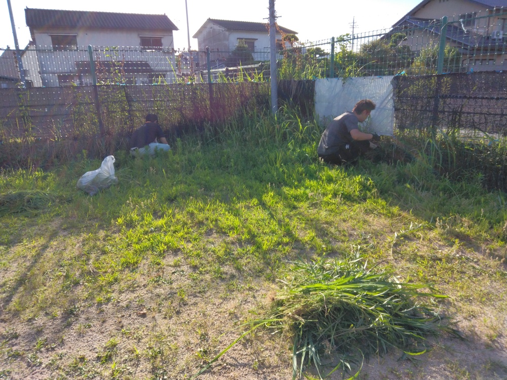 草刈りの様子