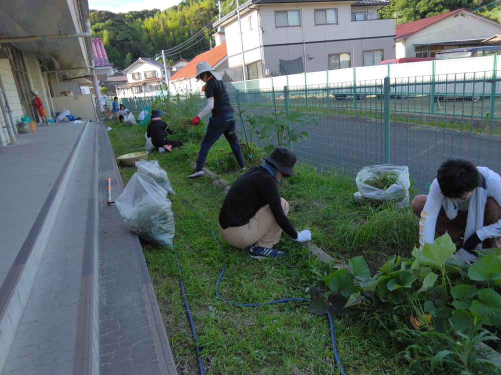 草刈りの様子