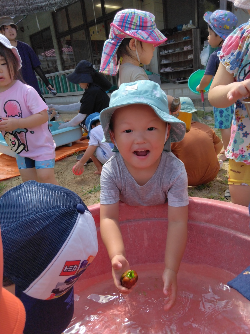 IMG_20260731_101006[1]