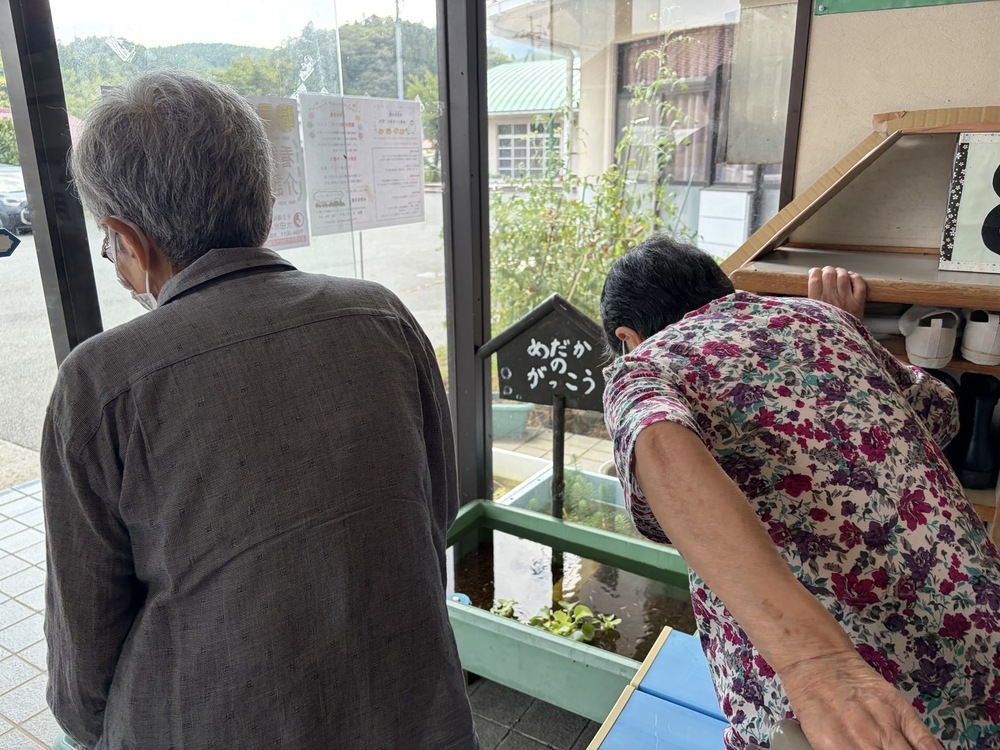 メダカ