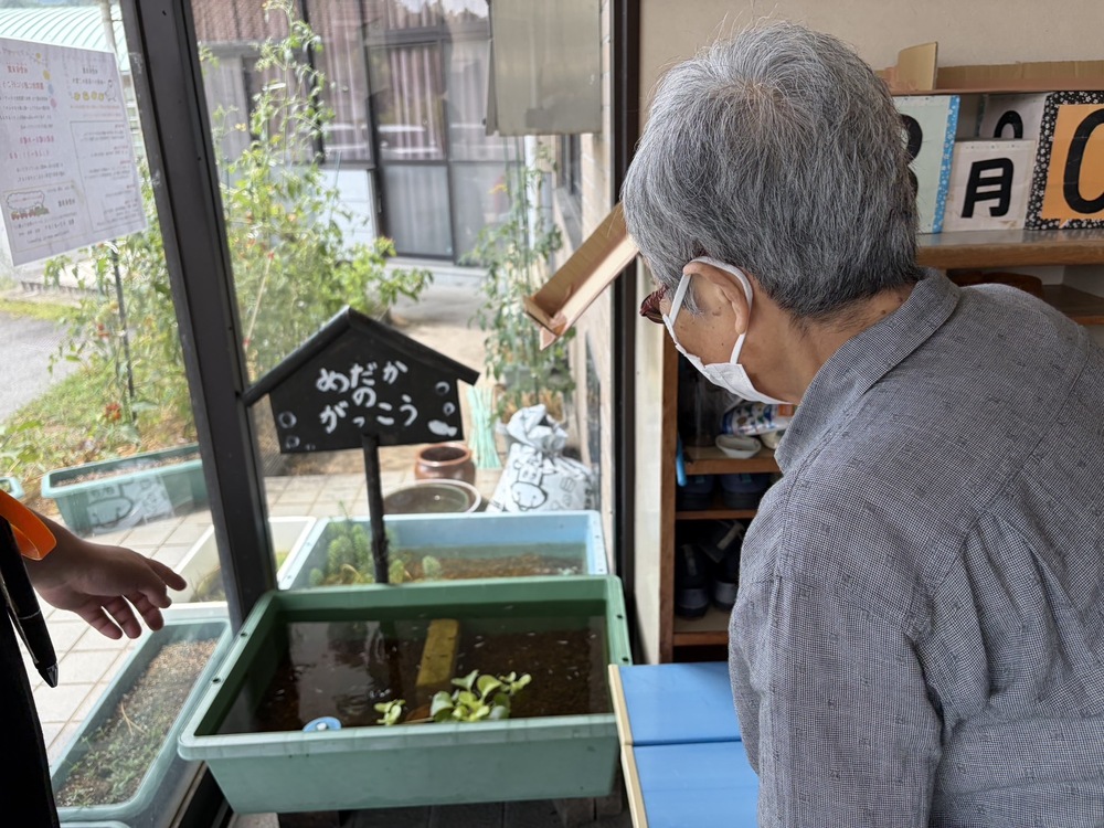 メダカ