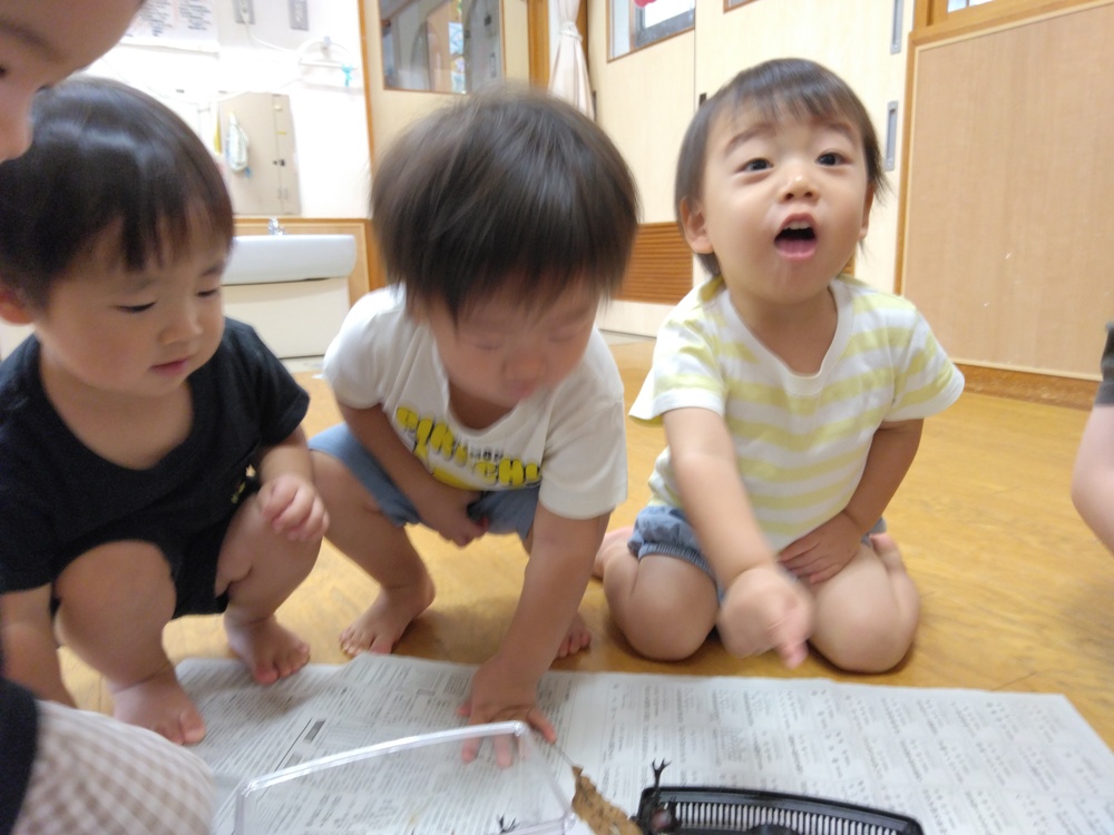 かぶとむしを見ている様子 (1)