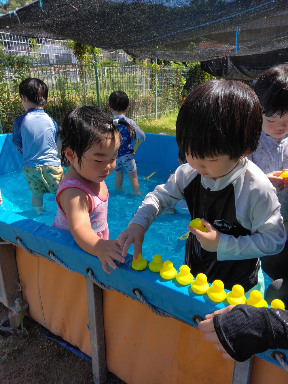 プール納め (3)