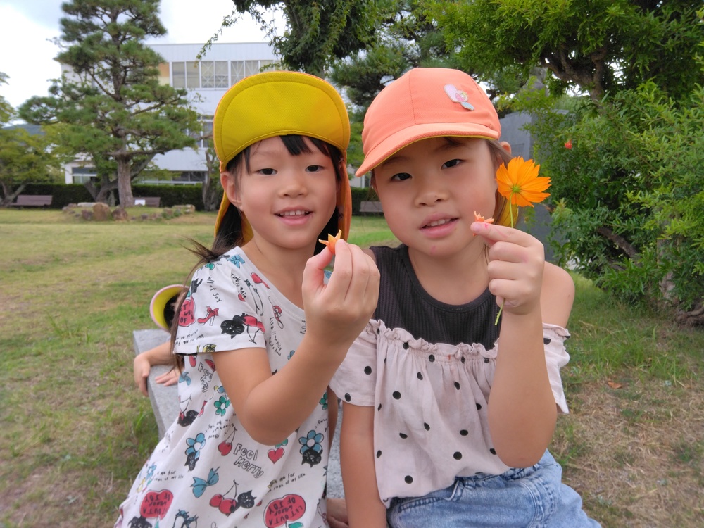 ９月の風