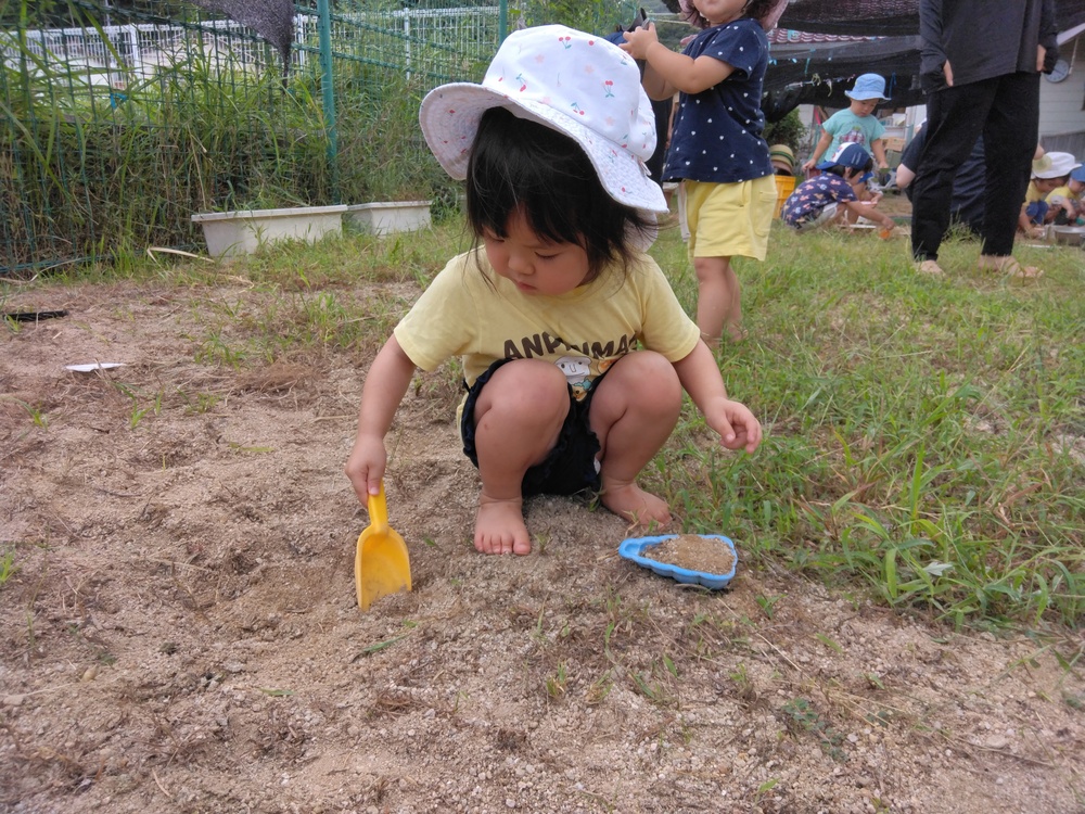 園庭遊びの様子 (3)