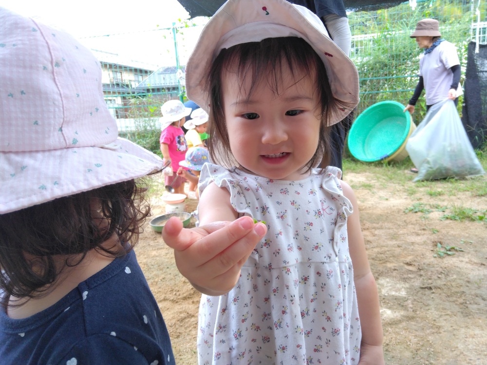 園庭遊びの様子 (1)