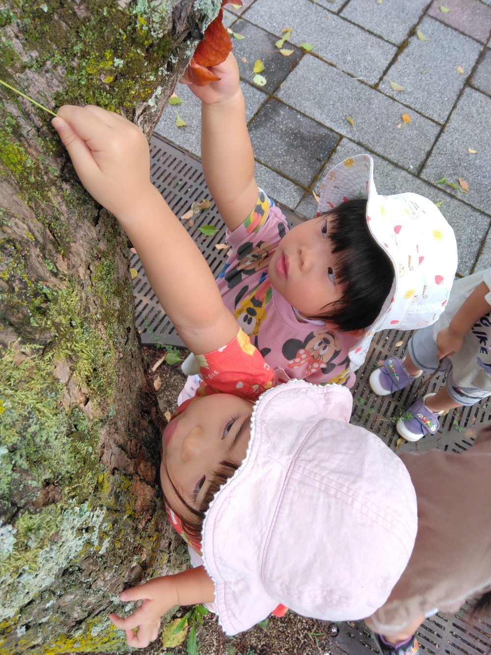 散歩 (4)