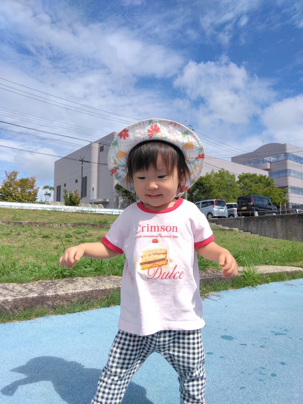 散歩の様子⑷