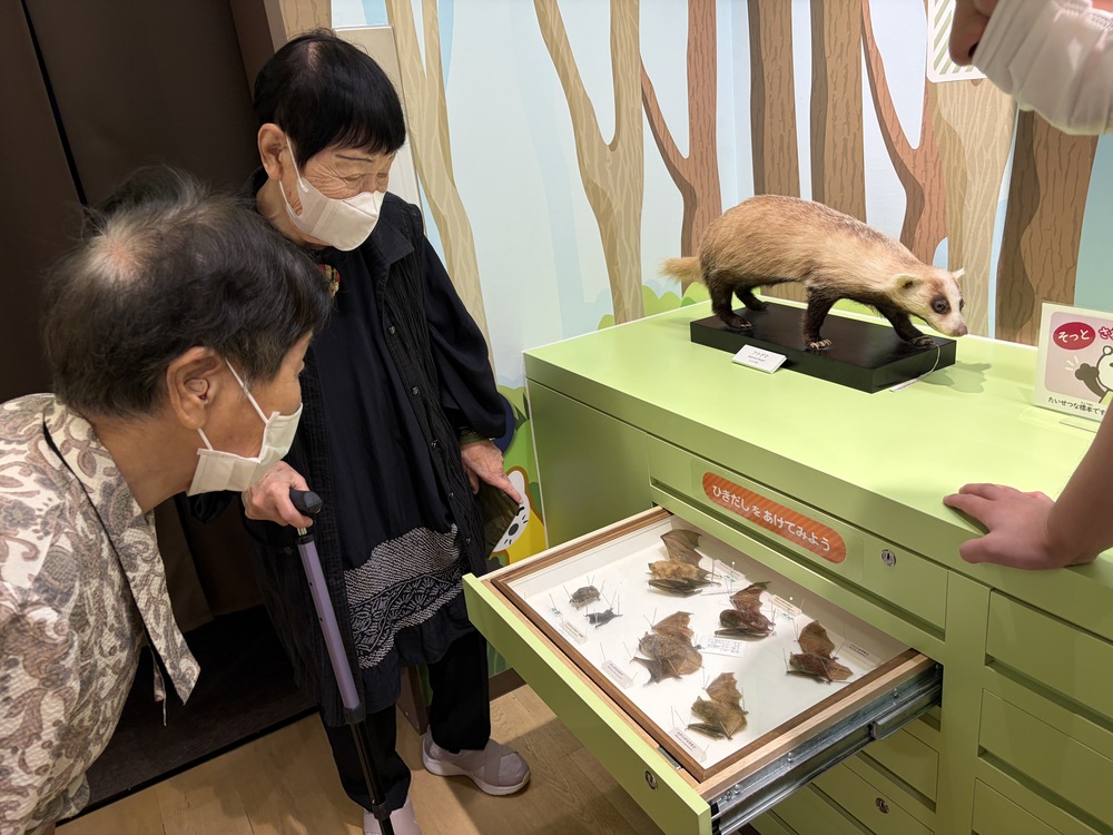 サヒメル