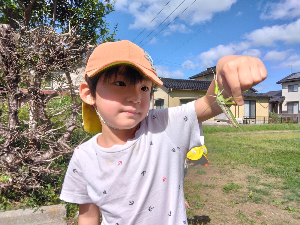 やぎさんゆうびん (4)