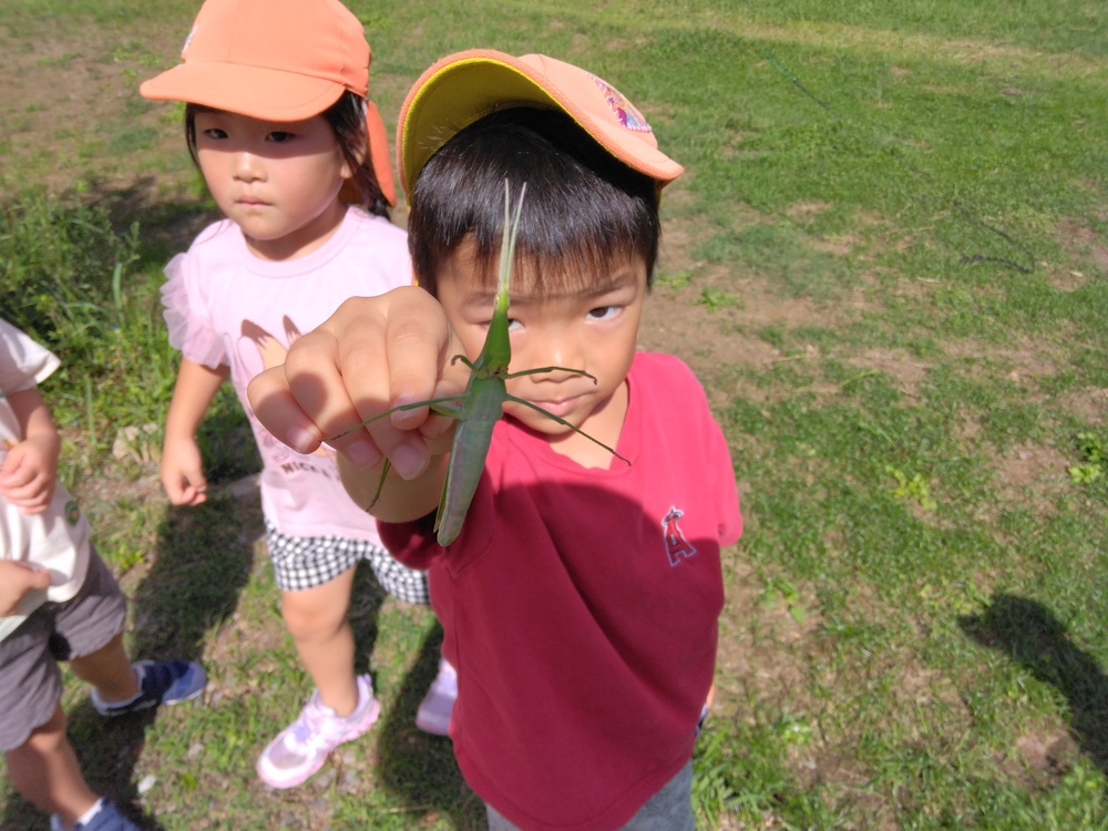 やぎさんゆうびん (6)