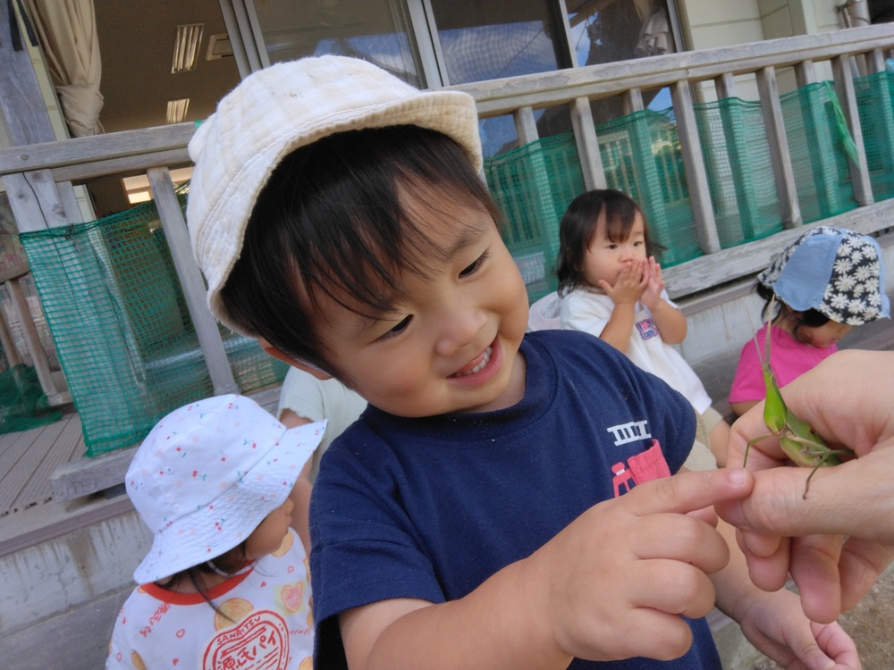 ショウリョウバッタをいている様子 (1)