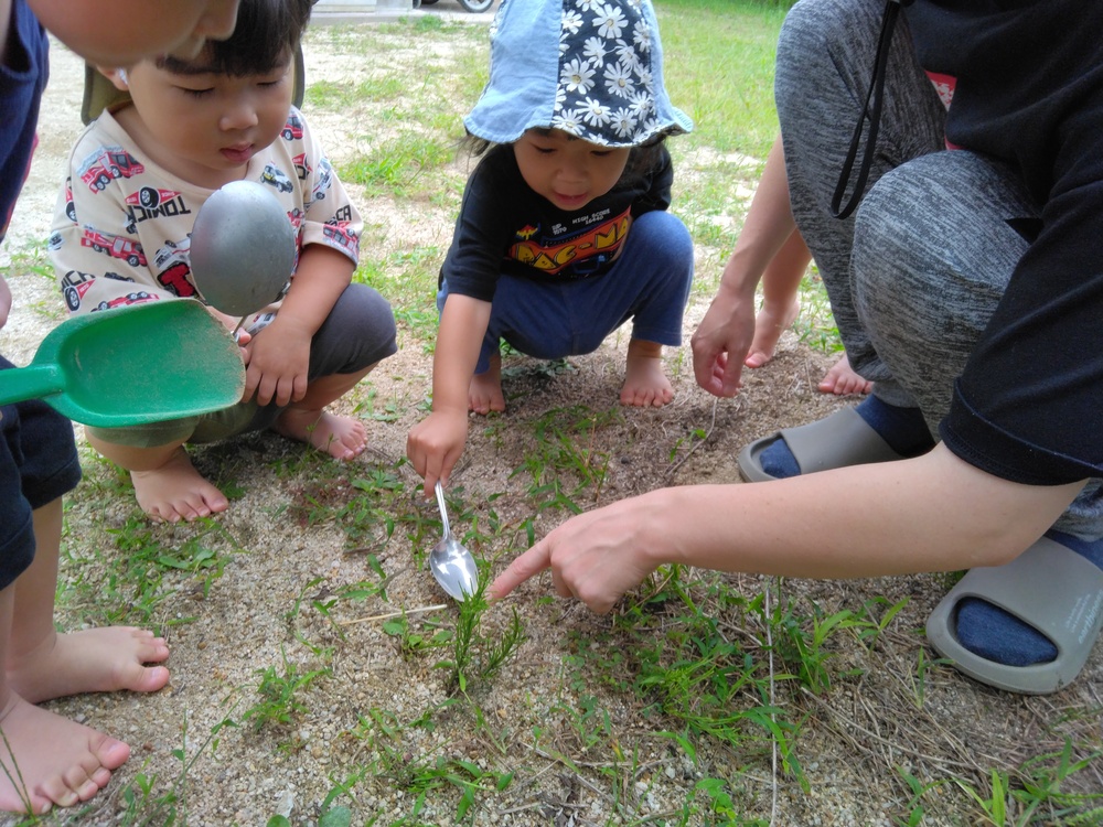 園庭で遊ぶ子ども (3)