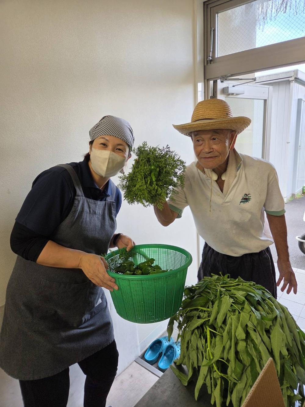夏野菜2