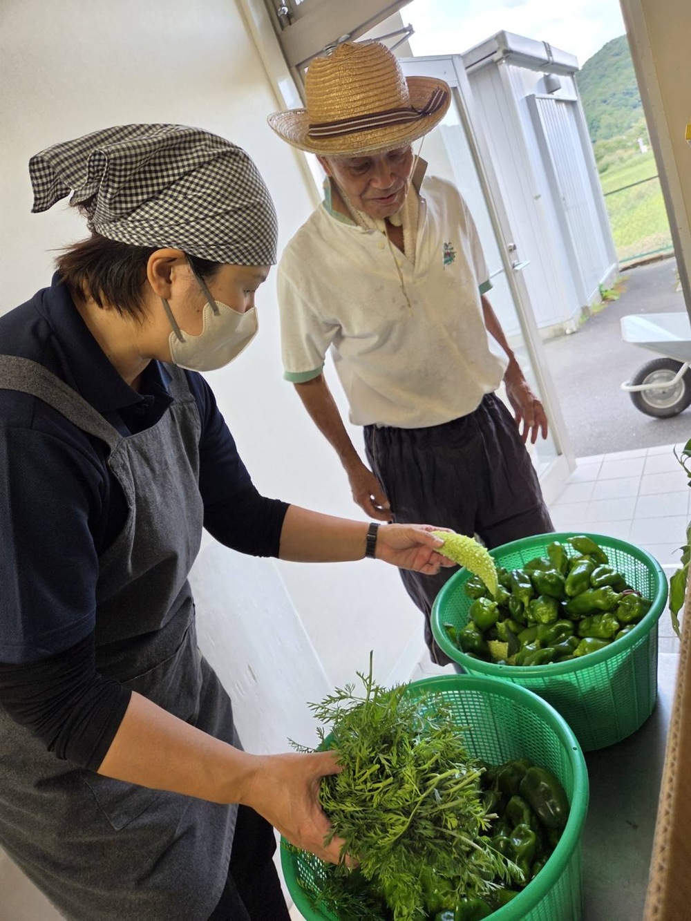 夏野菜3