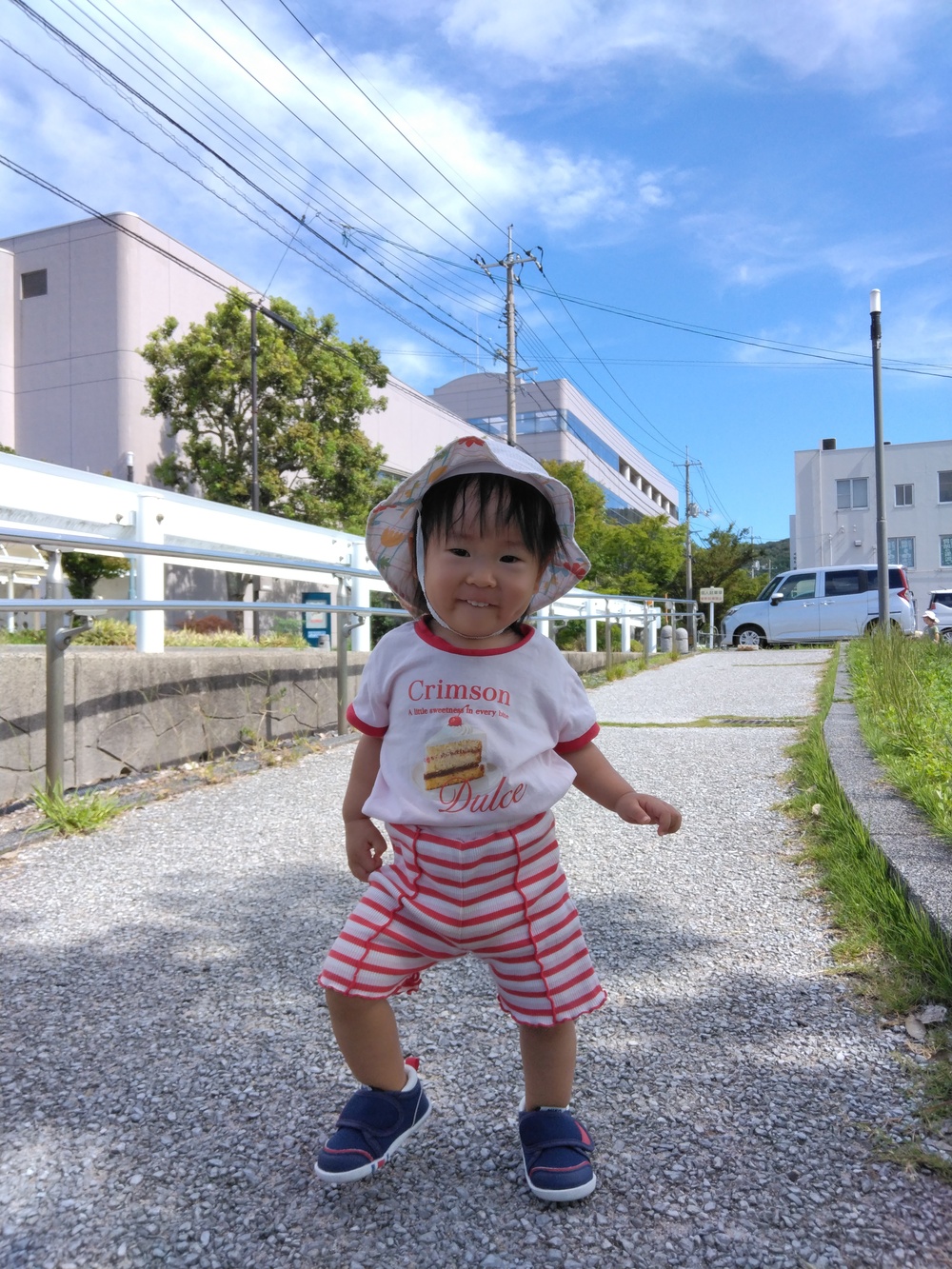 散歩の様子⑷