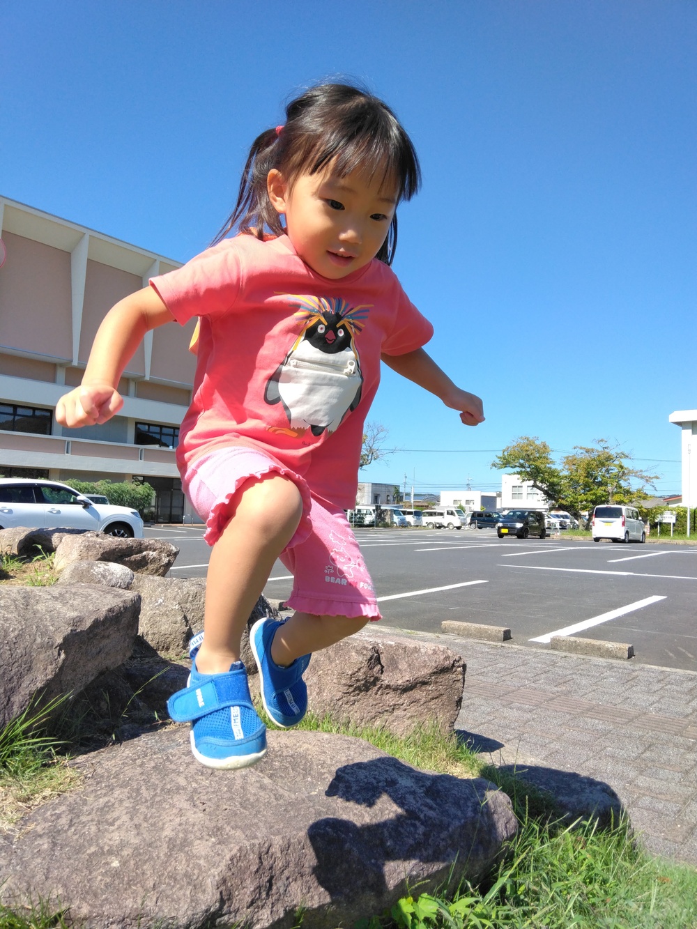 市民会館へ散歩